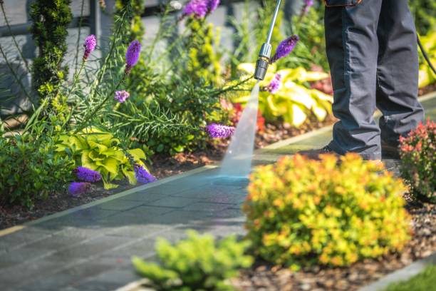 Best Driveway Pressure Washing  in Bethel, AK