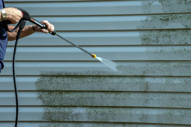 Best Graffiti Removal  in Bethel, AK